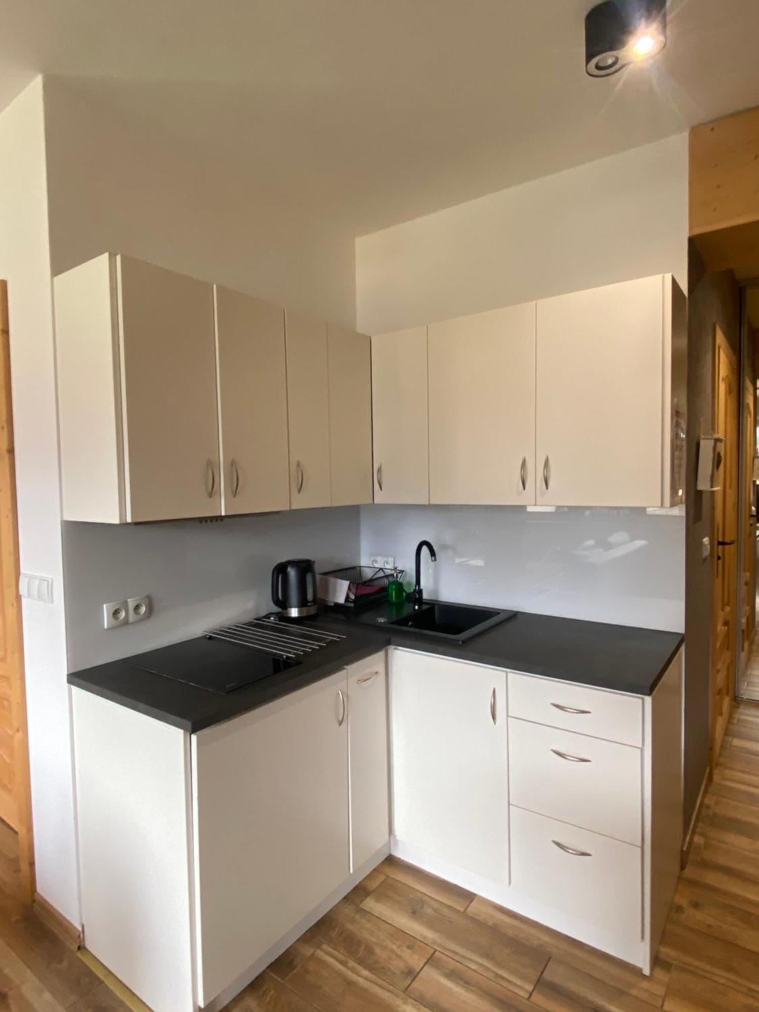 Appartement Siwa Skala à Kościelisko Extérieur photo